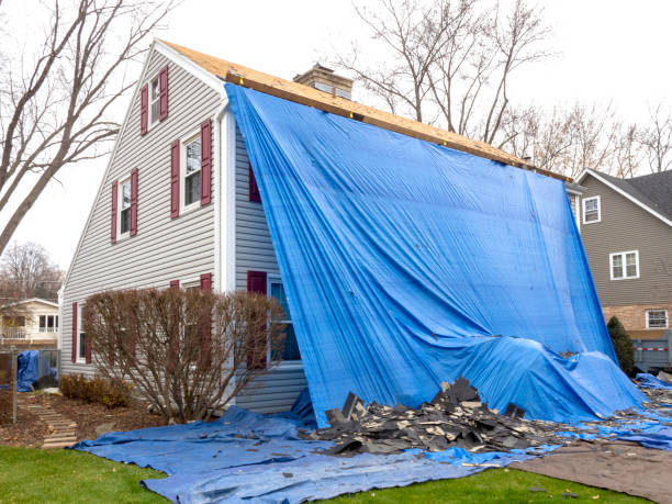 Best Same-Day Junk Removal Services  in Dixon, KY